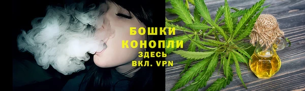 ПСИЛОЦИБИНОВЫЕ ГРИБЫ Мурманск