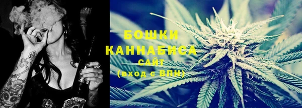 прущие грибы Красноперекопск