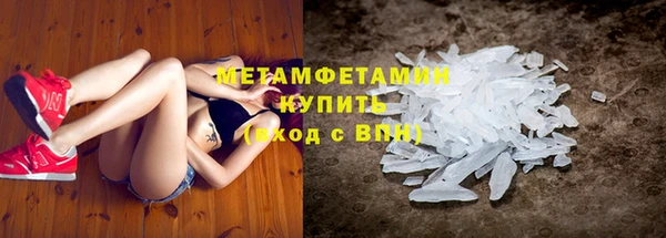 прущие грибы Красноперекопск