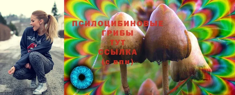 купить  цена  Маркс  Галлюциногенные грибы прущие грибы 